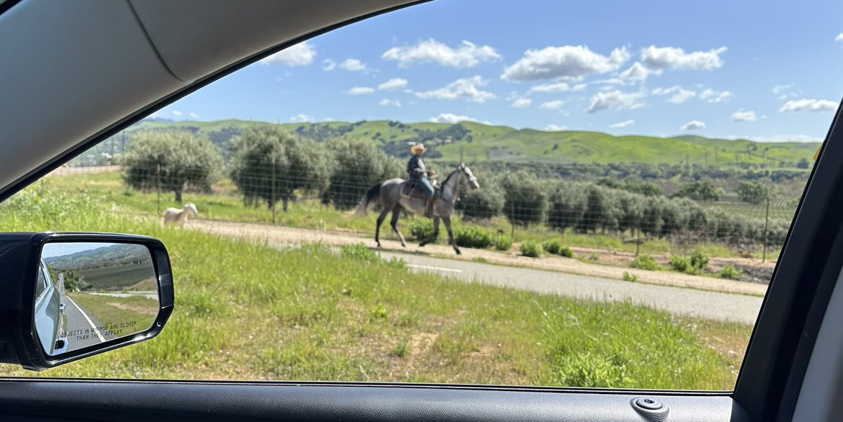 A man on horseback walking his goat yesterday not far from Wente golf course in Livermore…