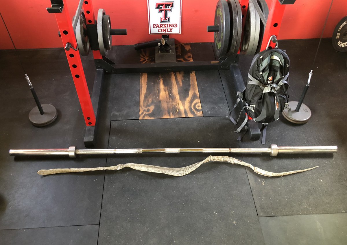 I guess the worst thing is knowing this dude is still in here somewhere. 6’+ 🐍 #garagegym #homegym