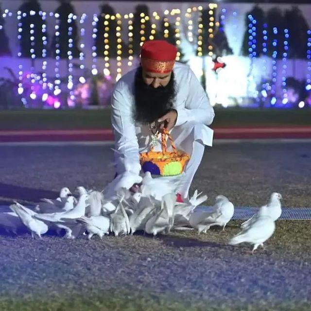 Keep some grains and water on your terrace for the birds, do this noble work daily to save the lives of birds in summers, as per the holy inspiration of Saint Dr MSG Insan.#BirdsNurturing