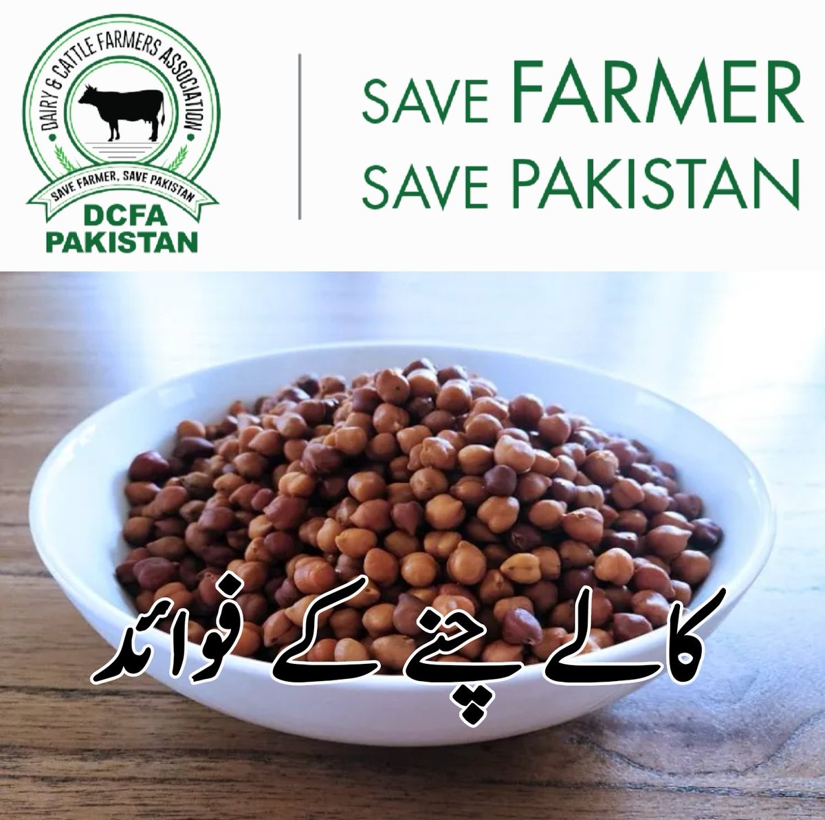 Dairy & Cattle Farmers Association (DCFA) Pakistan tweet media