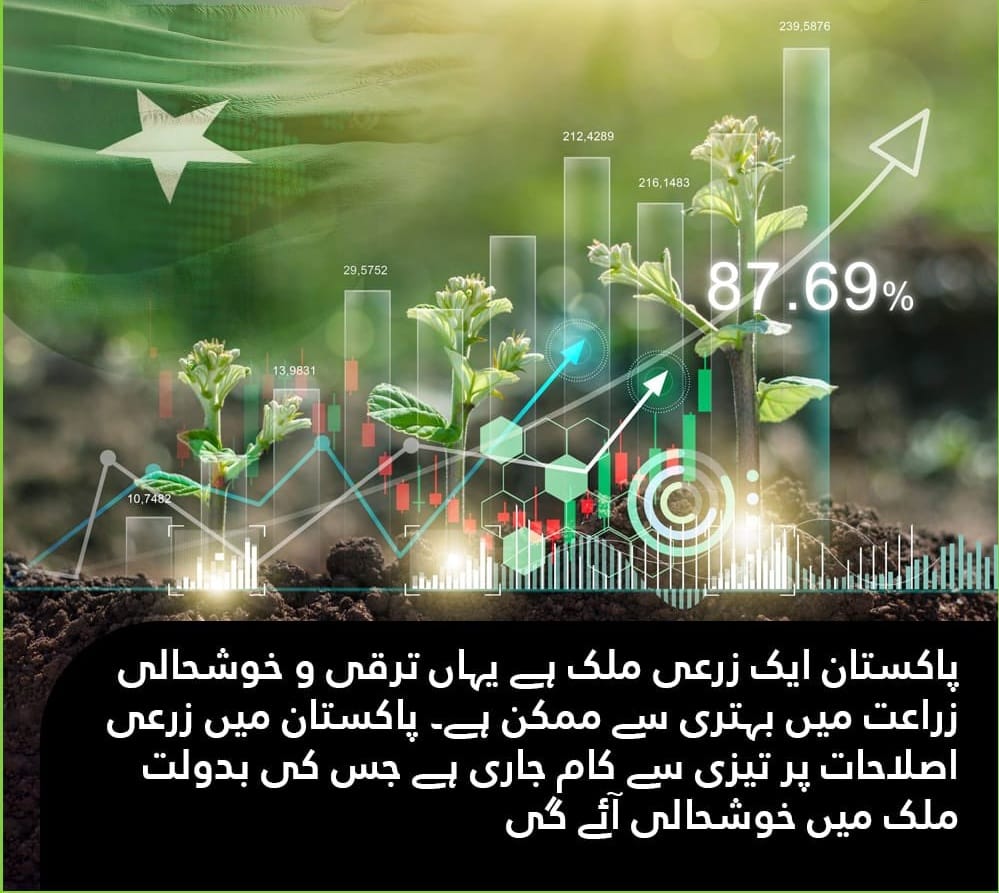 Pakistan has been engaged in a precarious struggle to define a national identity and evolve a political system for its linguistically diverse population. 
#RisingPakistan