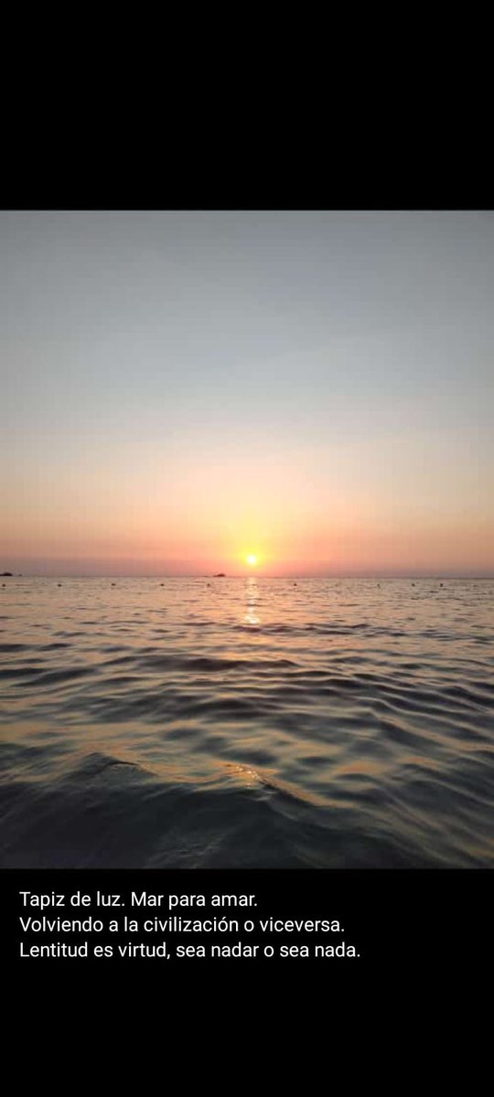 YuryLesnikov's tweet image. Tapiz de luz. Mar para amar.
Volviendo a la civilización o viceversa.
Lentitud es virtud, sea nadar o sea nada.

#Adnerd #Caribe #Nadaísmo