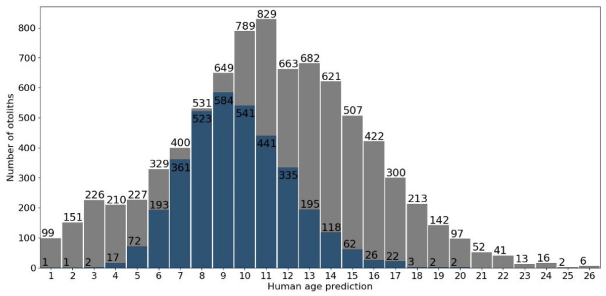 Fishes_MDPI's tweet image. 🐬#FishesMDPI #Editors_Chioice 

👏&quot;Automatic #FishAge Determination across Different #Otolith Image Labs Using Domain Adaptation&quot; by Alba Ordoñez et al. 

👉mdpi.com/2410-3888/7/2/…

📌#deeplearning #datasetshift #domainadaptation