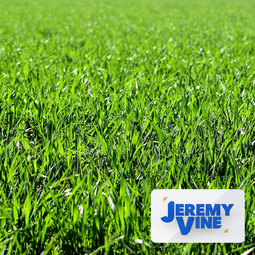 Should we ban artificial grass in gardens? A wildlife campaigner wants housing websites to include a search option for homes with none to give back to nature. Are they right? @narindertweets | @cristo_radio | @theJeremyVine | #JeremyVine