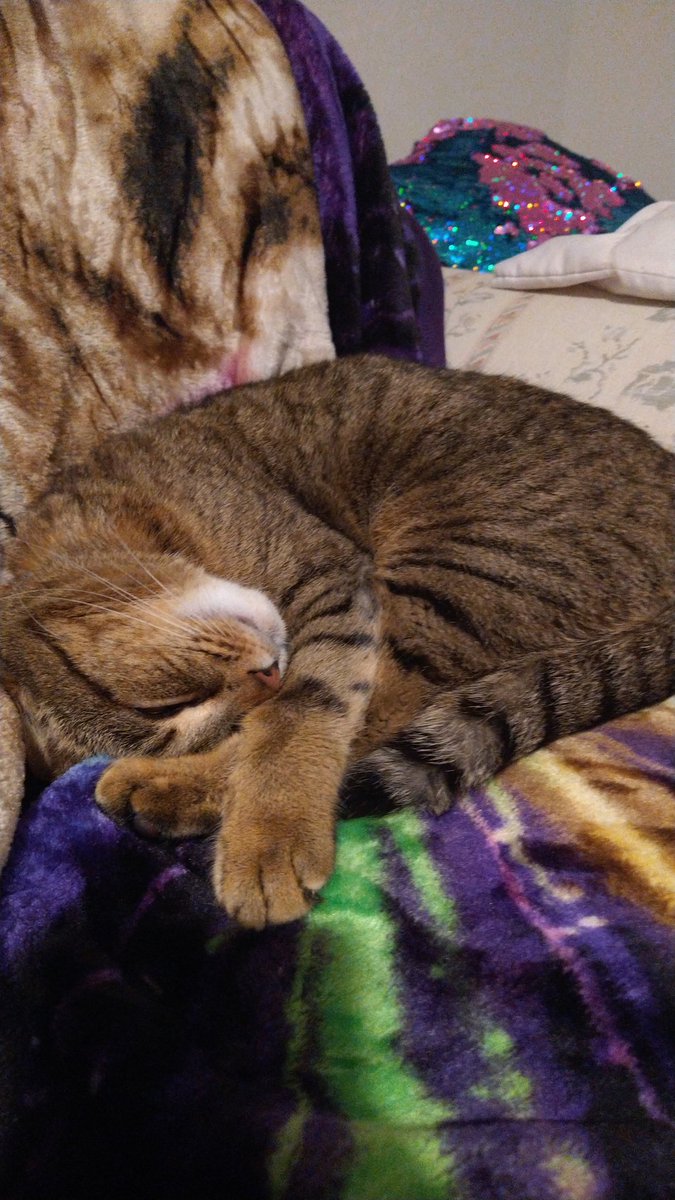CynAngy's tweet photo. I AM FREE FROM MOMMY'S HELL PRISON OF AN OFFICE.

Tonight I sleep like a god. https://t.co/V1ULUhhuvd