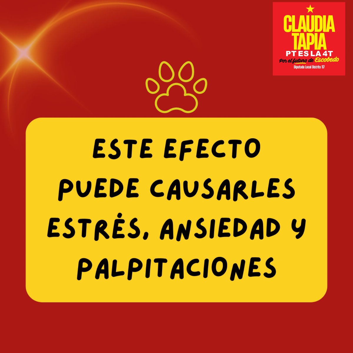 Claudia Tapia Castelo tweet media