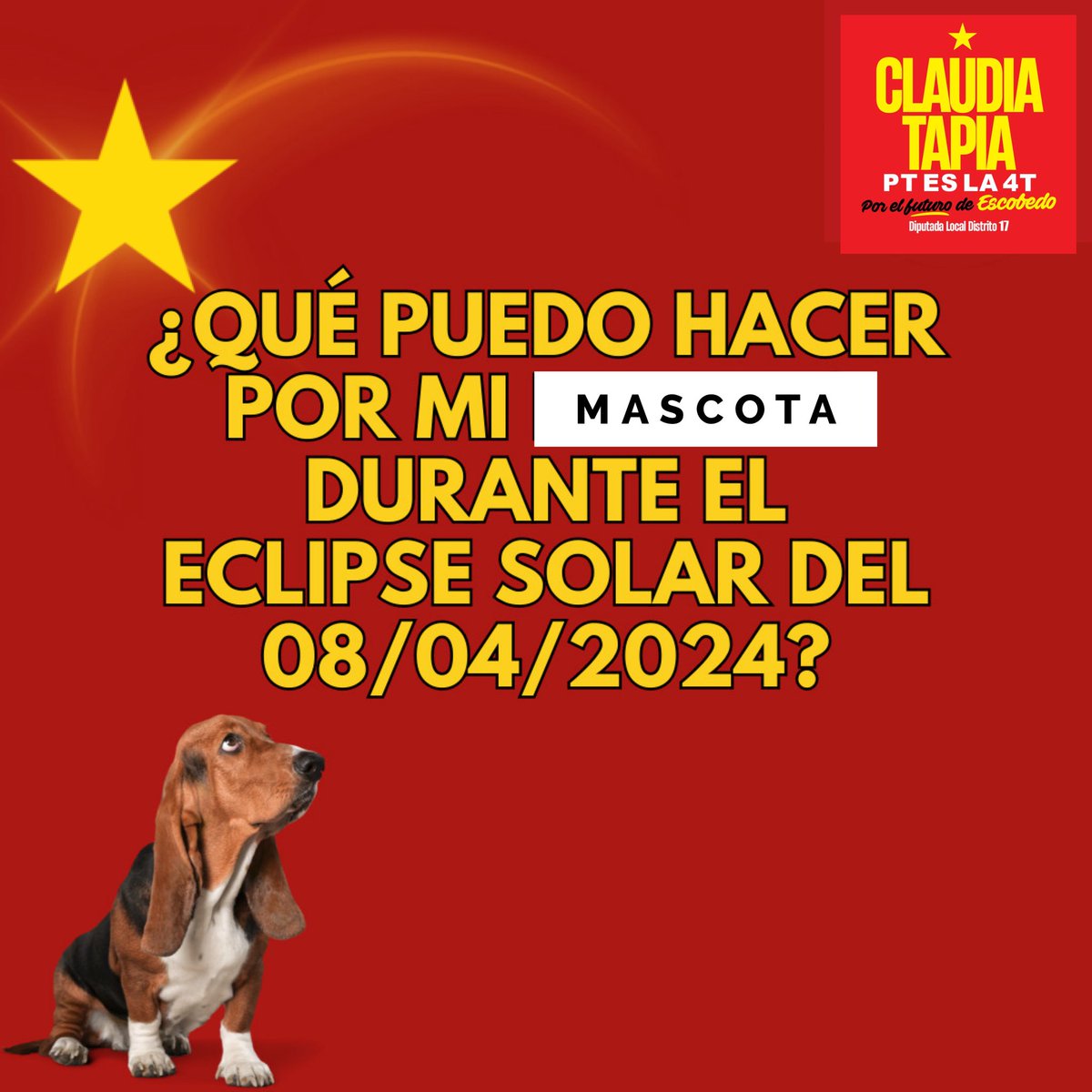 Claudia Tapia Castelo tweet media
