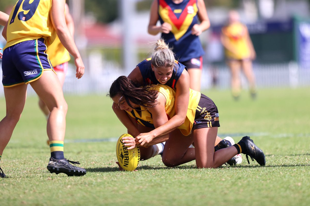 GlenelgFC's tweet photo. 6 of our GFCW players have been selected in the SANFLW All Star Squad of 46 players! 🌟
Marie Martino, Sam Franson, Ash Dyer, Shay'lee Dayman, Jess Bates &amp; Ellie Kellock are our representatives, looking to secure a spot on the State Team who will take on WAFLW on May 4. 👏🐯 https://t.co/cn7OkGmpcm