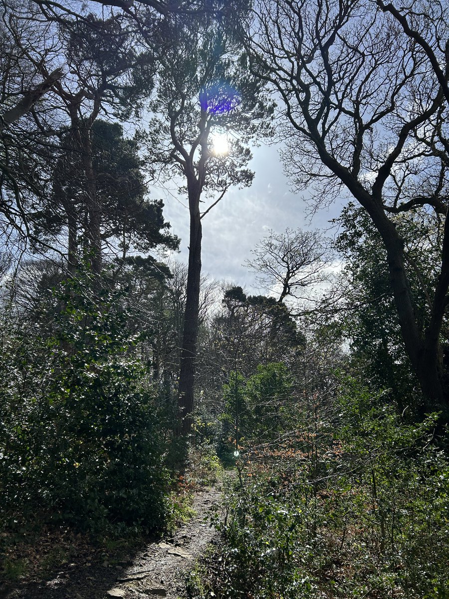JPEGdesignprint's tweet photo. #DragonDaysOut #localdragon_walking_conwy #dwygyfylchi #penmaenmawr #conwy #yourlocaldragon #handy #local #directory #advertising #handbook #magazine
People❤️YourLocalDragon x https://t.co/DVnLPyr9Ff