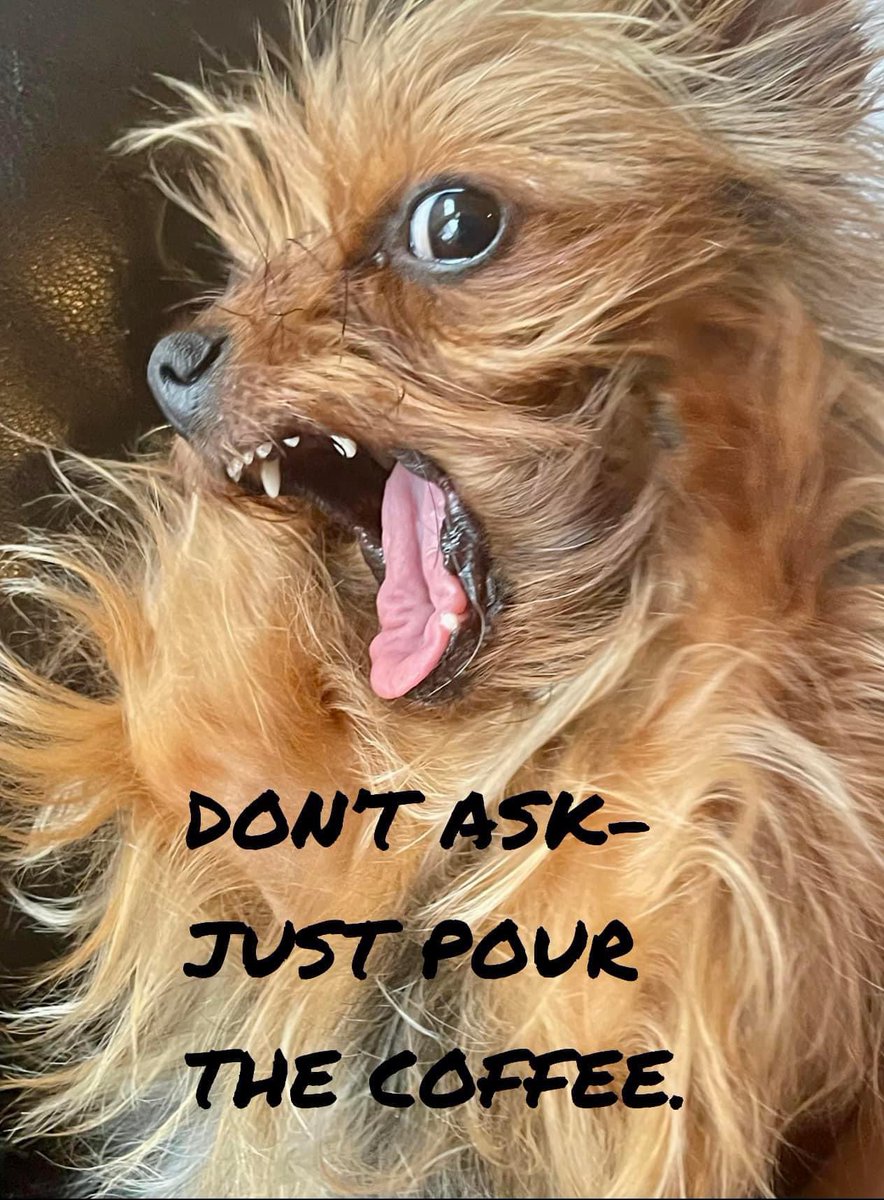 Cooper jeff (@cooperjeff84801) on Twitter photo 