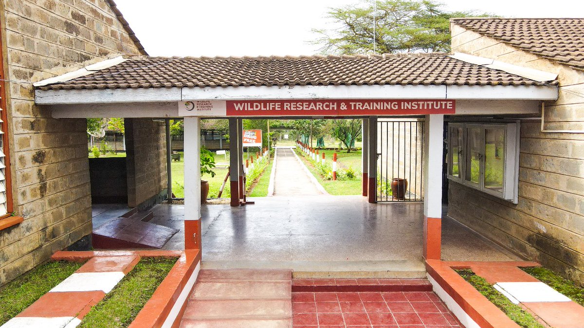 The D-day is finally here,for new students joining the institute today, We are honoured!
We've prepped and are eagerly anticipating your arrival!
 @Min_TourismKE
@WildlifeKe_
#Aprilintake #Newstudents #WRTIKenya