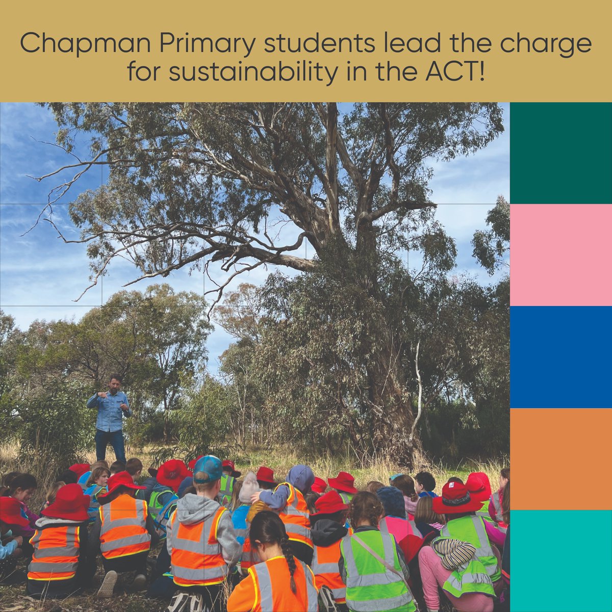 At Chapman Primary, sustainability isn't just a subject, it's a way of life! Check out how these young Canberrans are taking action to protect our environment storymaps.arcgis.com/stories/a54f37…