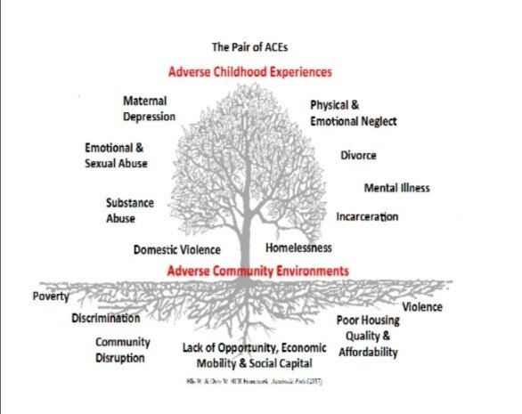 traumasch_kenya's tweet image. The pair/Tree of ACEs

A good representation of the kind of homes and communities traumatized learners come from

ACEs when there&apos;s no intervention, leads to childhood trauma and have impact on learning

#ChildAbusePreventionMonth
#PairofACEs
#ACEsandlearning