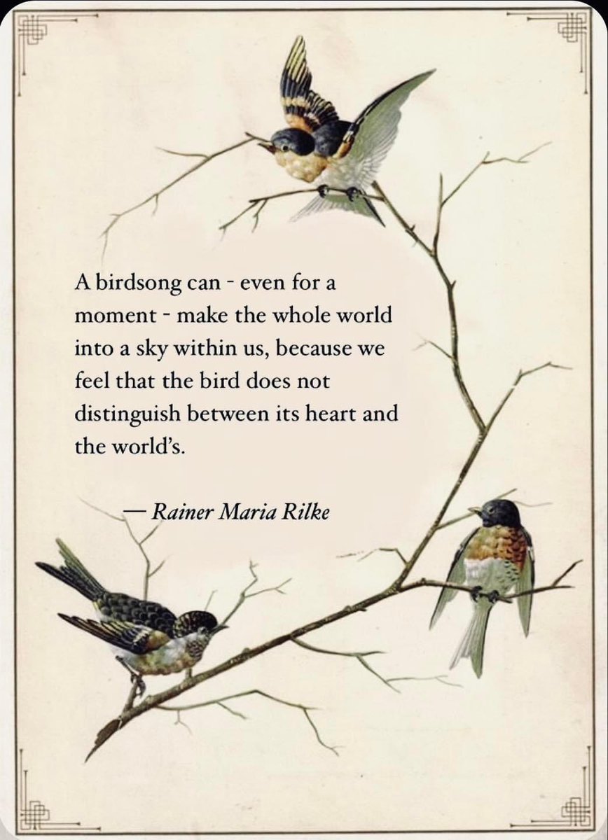 Birdsong can, all of a sudden bring the whole of life into sharp focus in all its beauty and tragedy. #existential