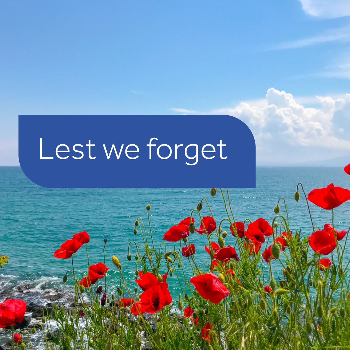 Lest we forget. 

We are closed to observe this holiday and will be back on board tomorrow. 

#anzacday2024