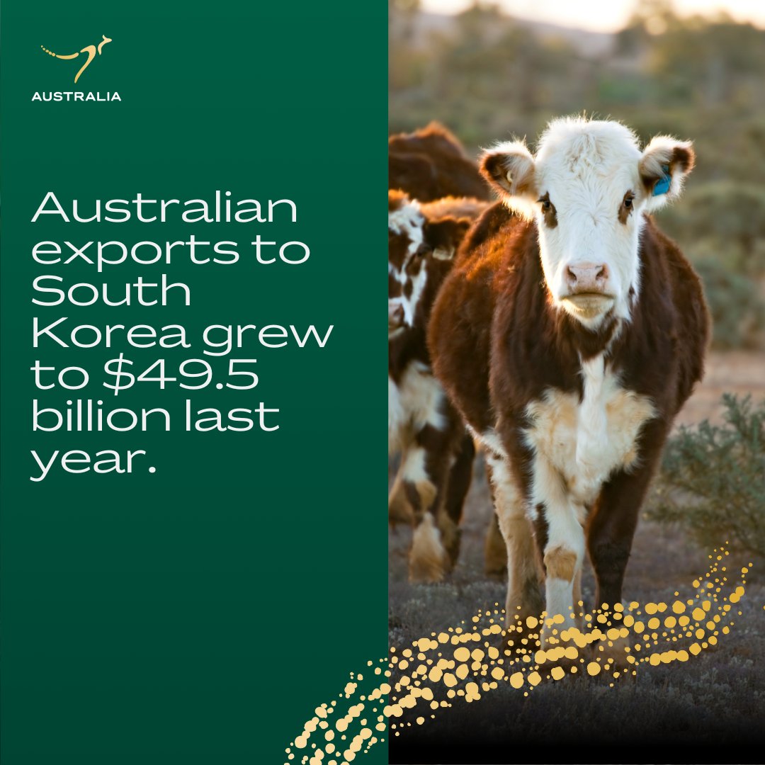Today we celebrate the 10-year anniversary of the signing of the Korea-Australia Free Trade Agreement (KAFTA). 🇰🇷 🇦🇺 Since it came into force, Australian exports have grown significantly, reaching $49.5 billion for the FY 2022-23. Learn more: ow.ly/cWFe50Ra6zU