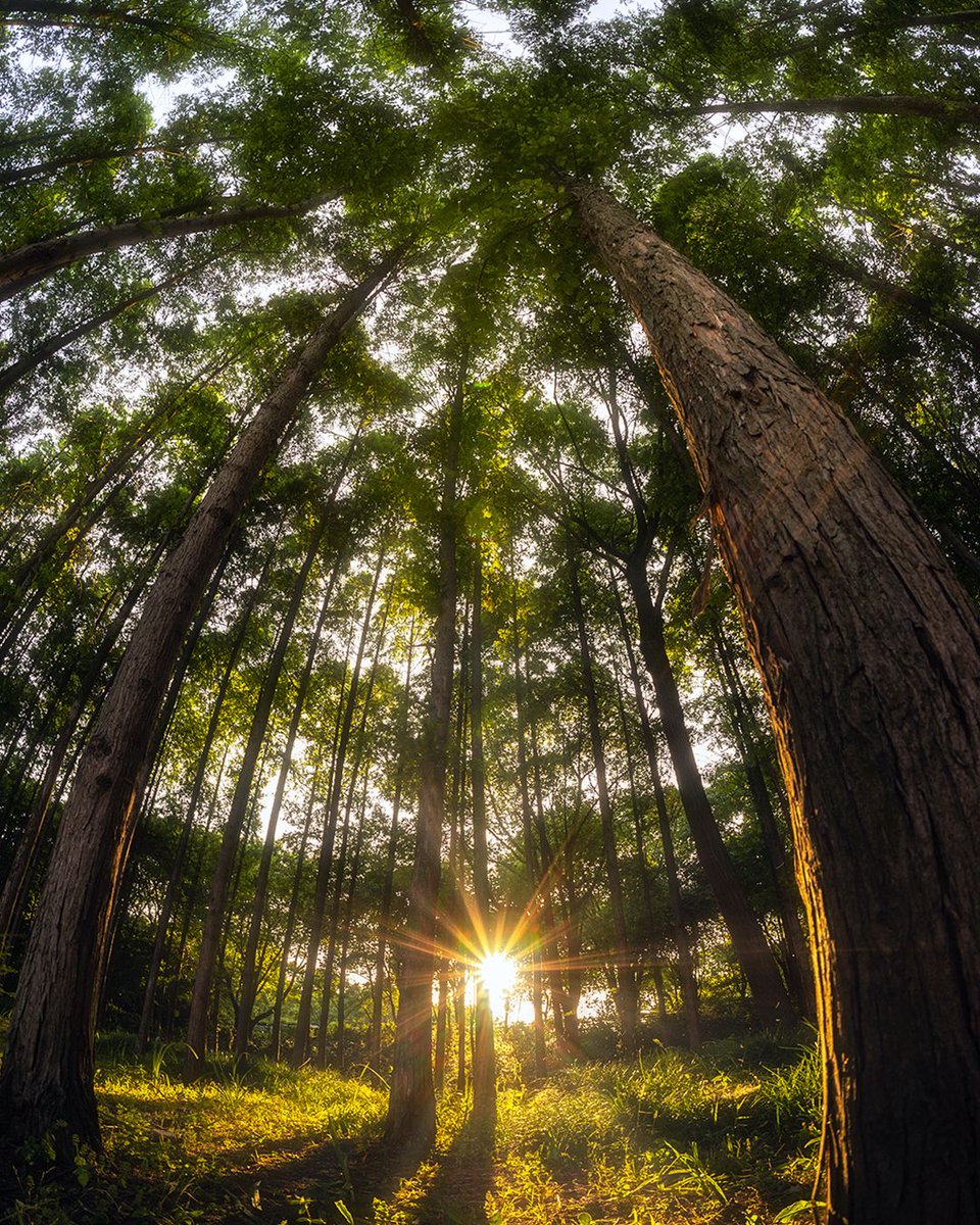 🌷 Landschafts- und Naturfotografie mit dem TTArtisan 11mm F2.8 Fisheye-Objektiv

#ttartisan #fisheye #fisheyeobjektiv #landschaftsfotografie #naturfotografie