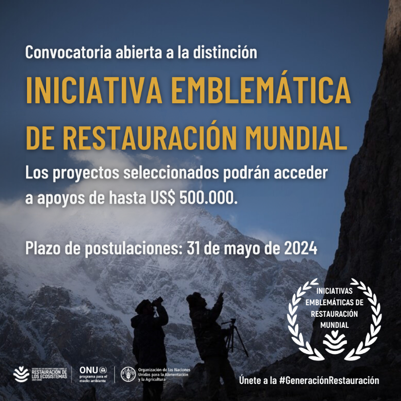 unep_espanol's tweet photo. ¿Conoces o formas parte de una iniciativa que esté restaurando la naturaleza? 🌱

¡Aquí podrás recibir el reconocimiento como Iniciativa Emblemática de Restauración Mundial de la @ONU_es!

Postula antes del 31 de mayo al premio más prestigioso de la #GeneraciónRestauración: