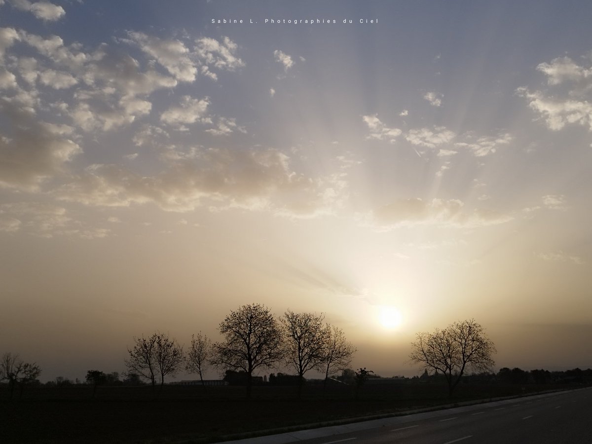 SabineL67's tweet photo. Lever de soleil sableux encore ce matin !! 🐪
🌡️15⁰C #Crastatt #Furdenheim

#Alsace #BasRhin #Météo #Météo67 #Particulesdesable https://t.co/L3EEzbFPbV