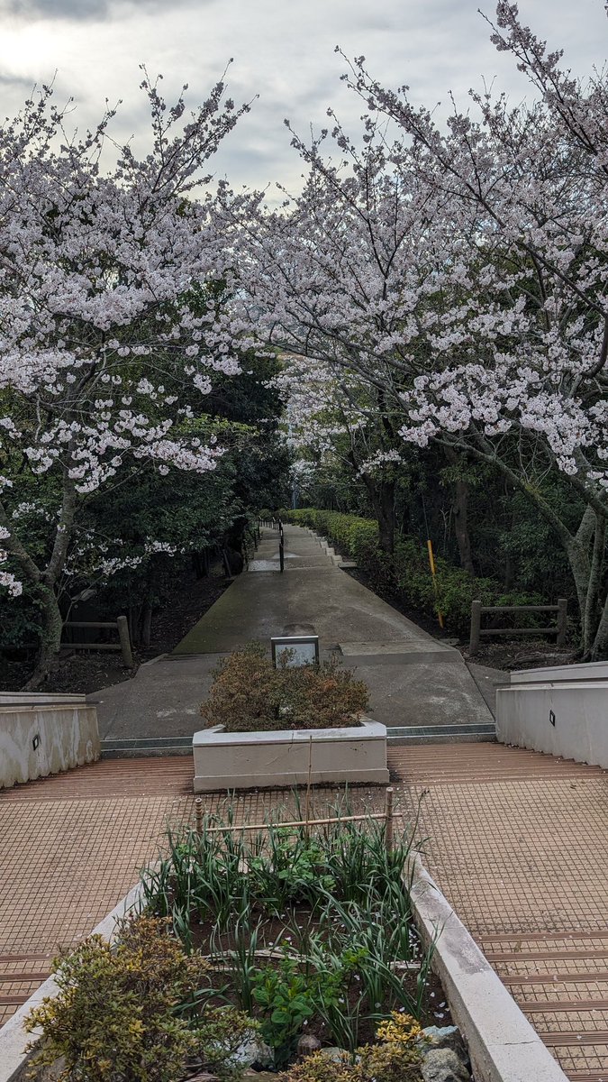 Fuji3_R6's tweet photo. https://t.co/1SPCVUNIqw