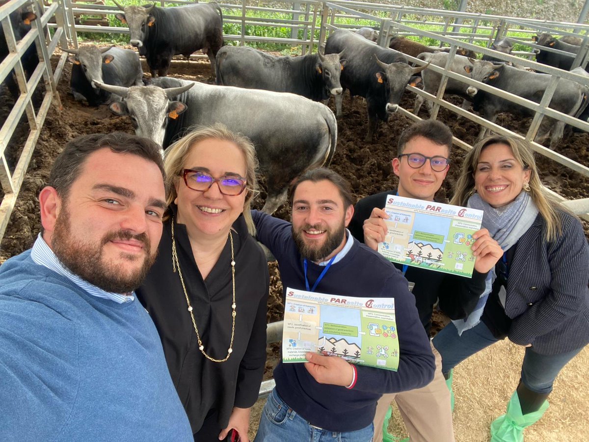 First #wormSPARC farmer exchange between Greek and Italian farmers on sustainable parasite control. More to come. Congratulations <a href="/labparasitology/">labparasitology_vri</a> @uninaIT!  <a href="/ZLTO/">ZLTO</a>  <a href="/EUAgri/">EU Agriculture🌱</a> <a href="/EUgreenresearch/">EU green research</a> #SPARC