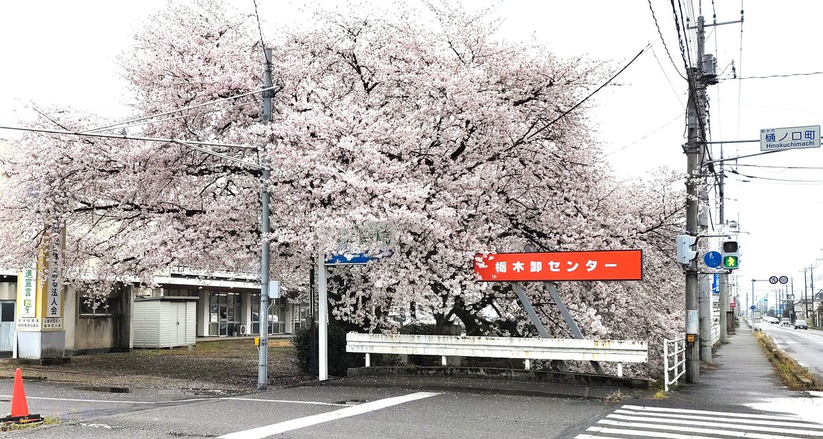 「雨上がりの今朝、障害者就労事業所へ出勤途中に栃木市樋ノ口町にある栃木卸センター周」|竹ちょ@ワクチン4回接種済みのイラスト