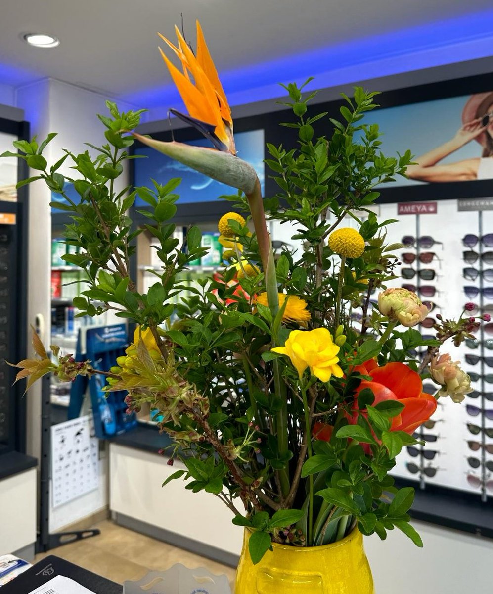 #LundiFleuri 🍀🌸 #LundiMotivation Bonne journée et bonne semaine ! 😉👌 Prenez bien soin de vous et de vos proches ! Olivier Marx et son équipe #Opticien à #Paris15 🔹 #Paris 💐 Atelier floral #jepenseauxfleurs 🇨🇵