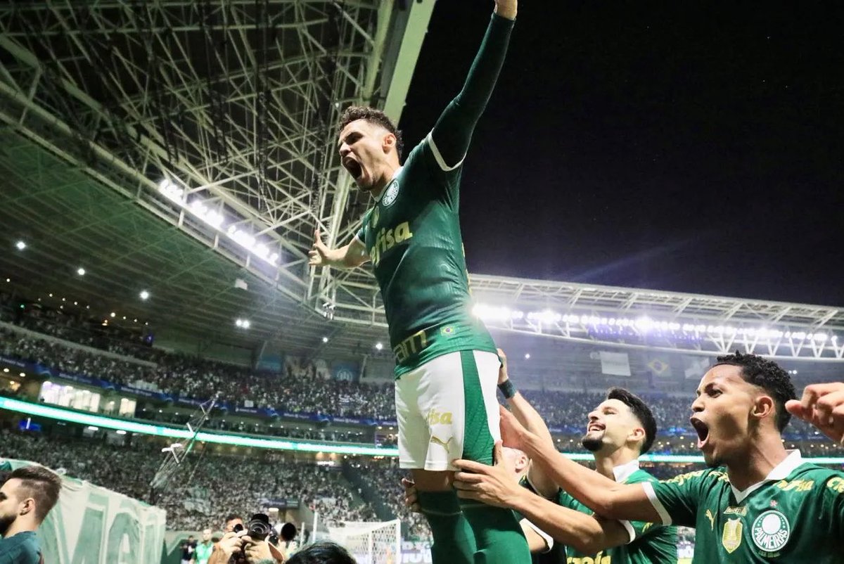 prwillianteofil's tweet photo. 🐷💚 #palmeiras https://t.co/AawKiK218S