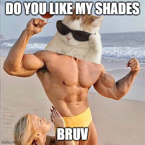 bruvcatsolana's tweet photo. @IcedKnife sup $bruv https://t.co/XfGnqBVFp1