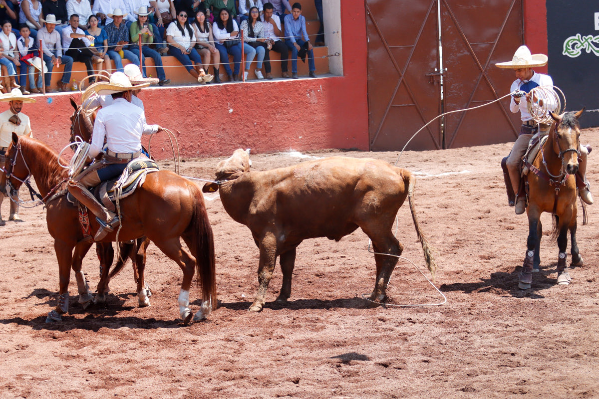 Circuito Excelencia Charra tweet media