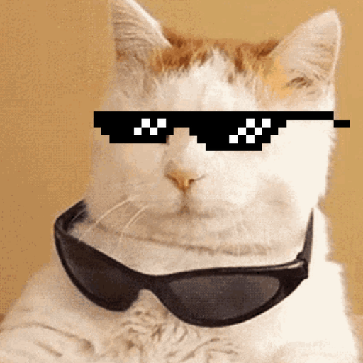 bruvcatsolana's tweet photo. @oxvyz the shades stay on bruv https://t.co/G6hFTyohhR