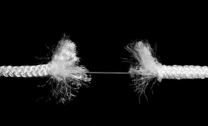 Khaleesi tweet media