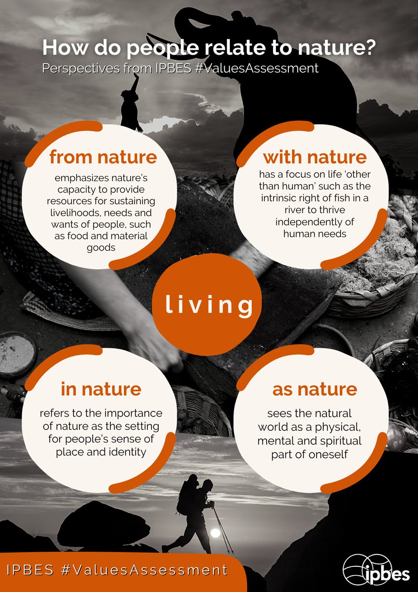 What are the perspectives through which people relate to nature? Why are they important? @ipbes #ValuesAssessment presents 4 general perspectives to make a new typology of values useful for decision-making. These are: living from, with, in & as nature ipbes.net/the-values-ass…