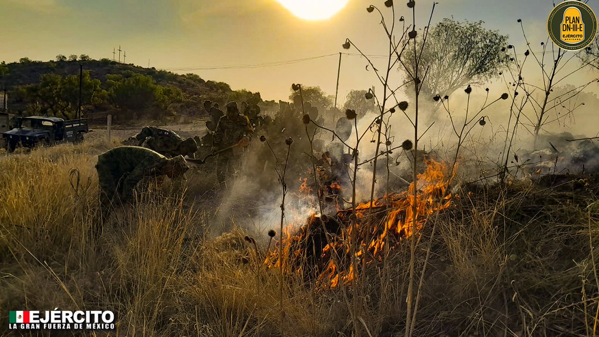 Nos comprometemos con el cuidado del medio ambiente implementando el #PlanDNIIIE para auxiliar a la población y sofocar incendios forestales. Juntos, trabajamos para proteger nuestra naturaleza. #37ZonaMilitar #EjércitoMexicano #SiemprePorTiSiemprePorMéxico