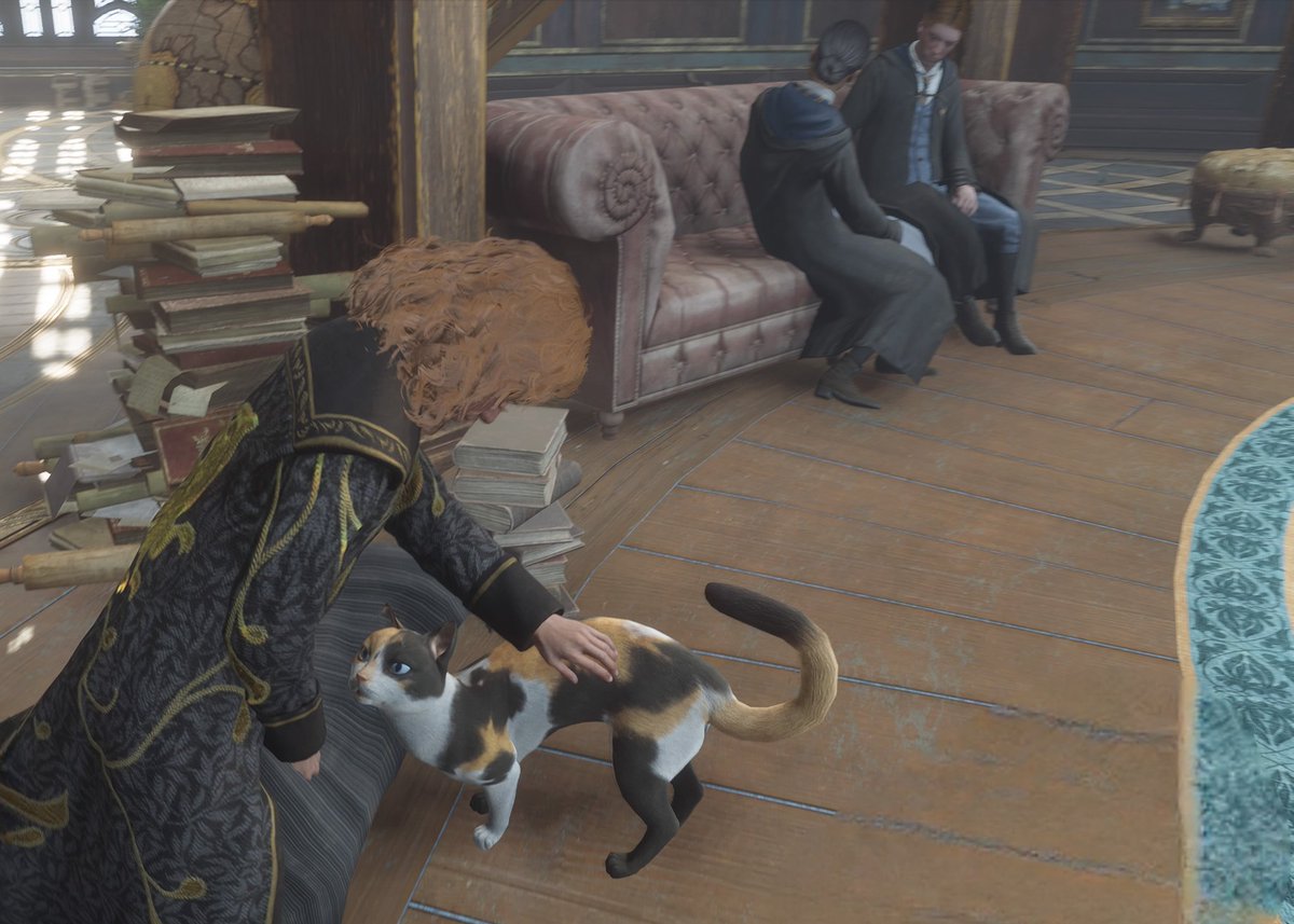 Me: I'M GONNA PLAY HOGWARTS LEGACY AND DO THE STUFF I MISSED!
also me: 
*pets all the cats*