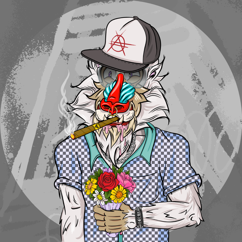 $bdub.algo tweet media