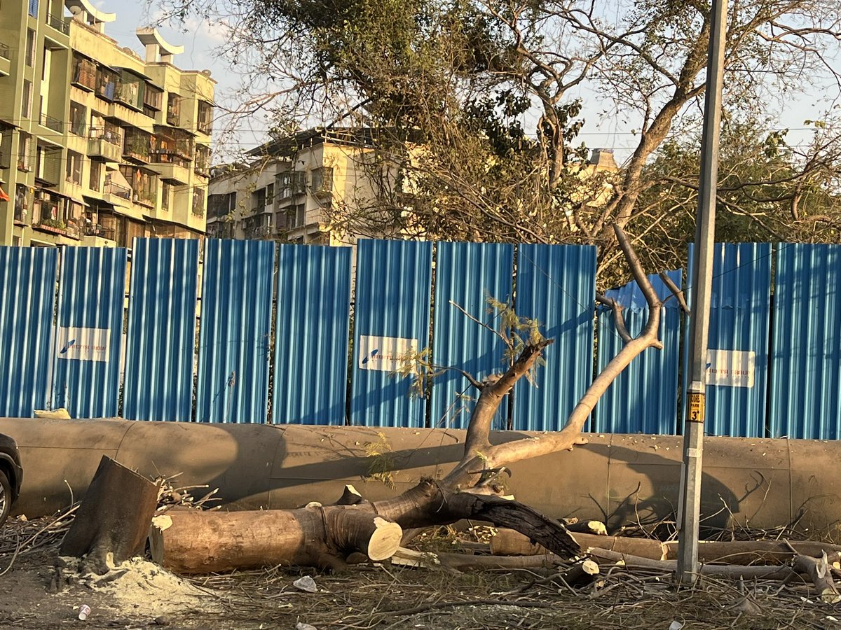 shailjoshi78's tweet photo. @KDMCOfficial  tree has been cut on gavdevi temple to barave road , in front of Godrej park society, Kalyan West. Does KDMC has given permission for the same? #greenKdmc,#smartcity https://t.co/41c9XMqYzr