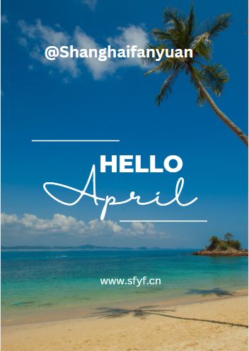 Shanghai Fanyuan_ CA (@cargonline35738) on Twitter photo 