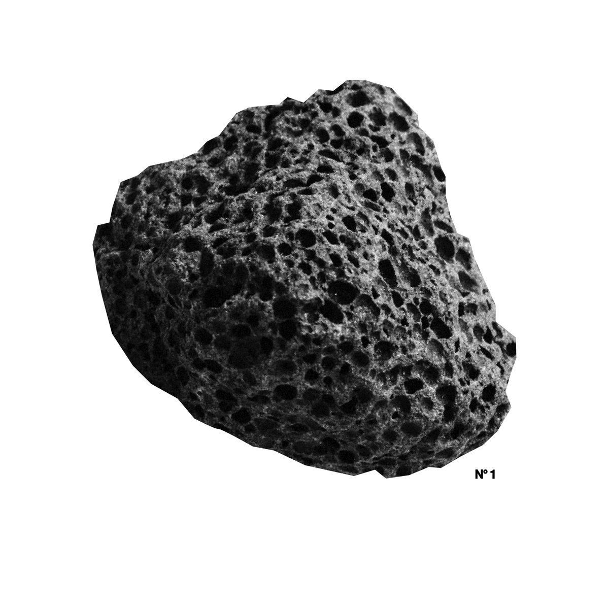 Flagless Records tweet media