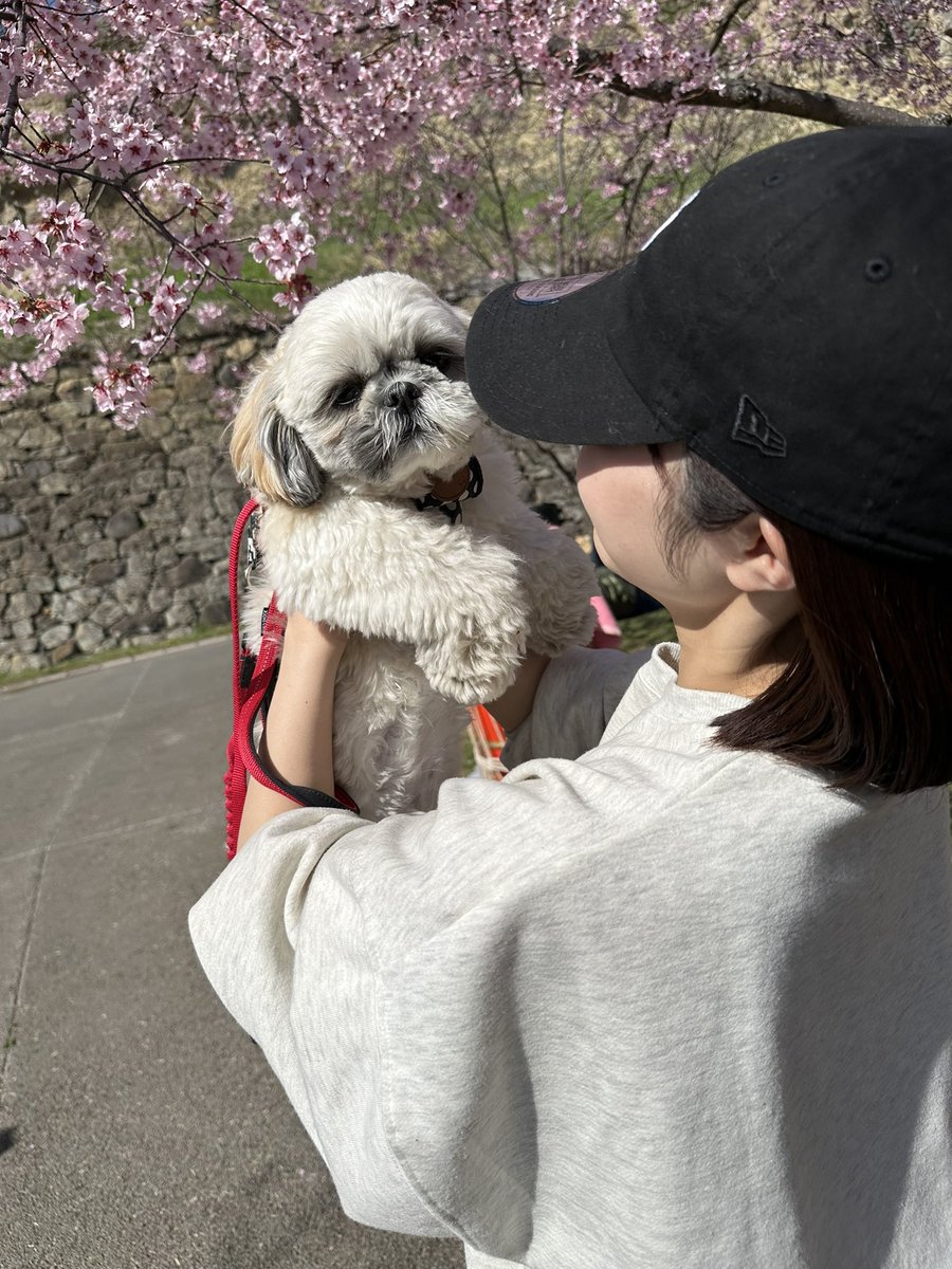ohagitan's tweet photo. お花見に一緒に行ってもらったら、こんな顔になってしまった🥲ごめんよ、、そんなに疲れされるつもりはなかったんだよ🥲 https://t.co/9FF3L9DRZ2