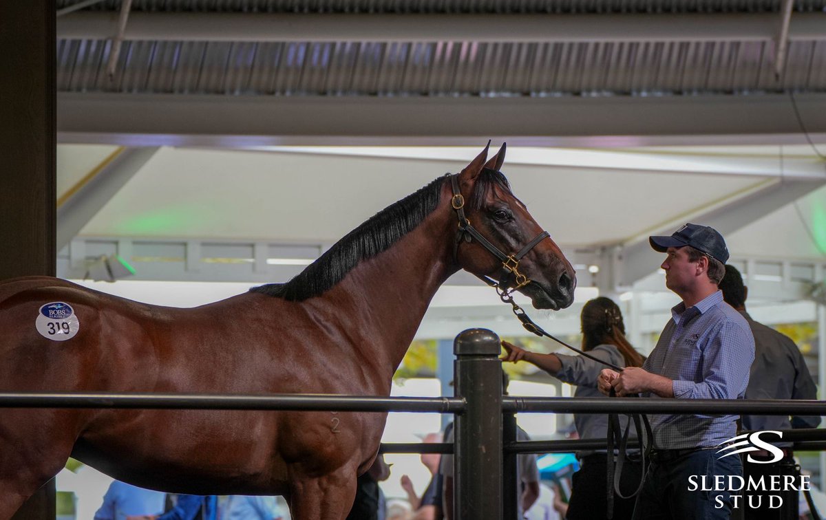 Sledmere Stud tweet media