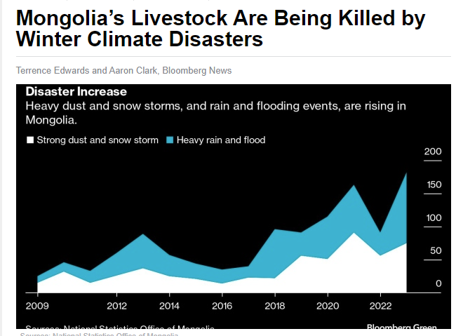 Read about scale & impact of this year's severe dzud on #Mongolia's herders from @BNNBloomberg article by @TerryReports & @aaronaclark1 & why its becoming a vicious cycle amplified by climate change affecting livelihoods, economy & nomadic lifestyle. 👉 bnnbloomberg.ca/mongolia-s-liv…