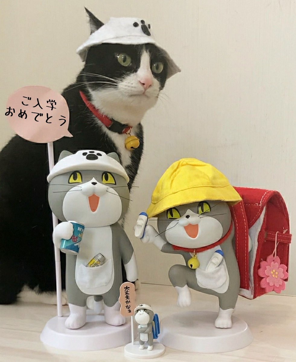 ギッラギラのいちねんせい
#仕事猫
今日も1日ご安全に！