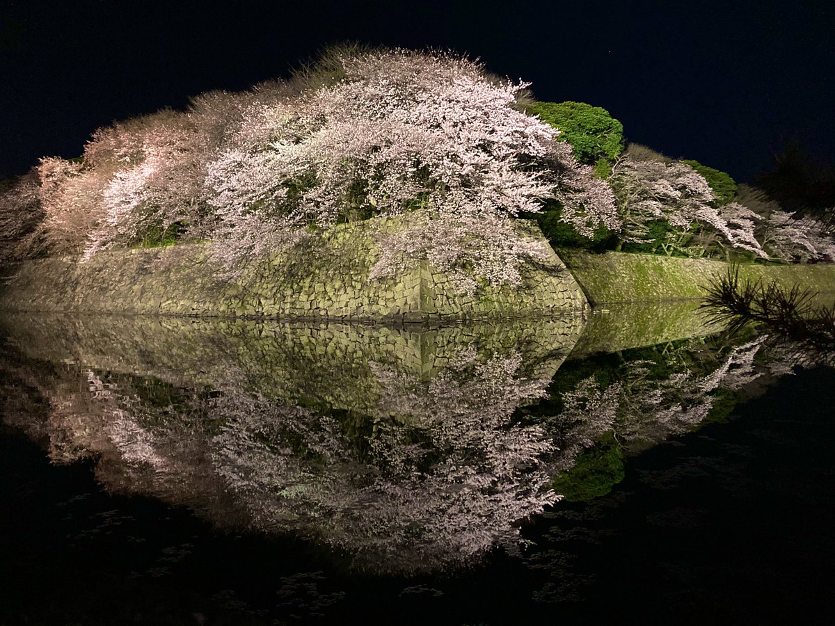 Shin2_games's tweet photo. 今年3���所目の桜まつり🌸 https://t.co/iwcnc7otLh