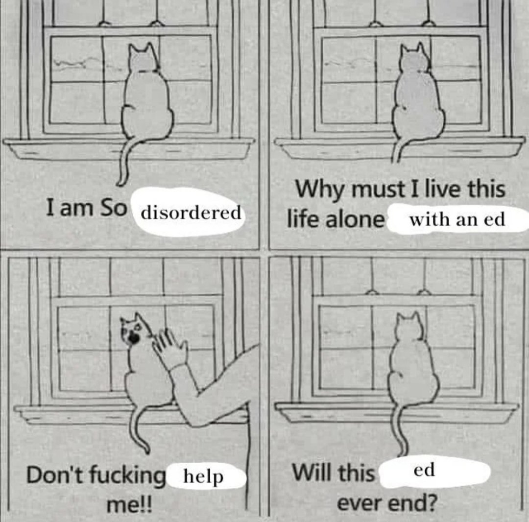 Edtwt + Shtwt jokes tweet media