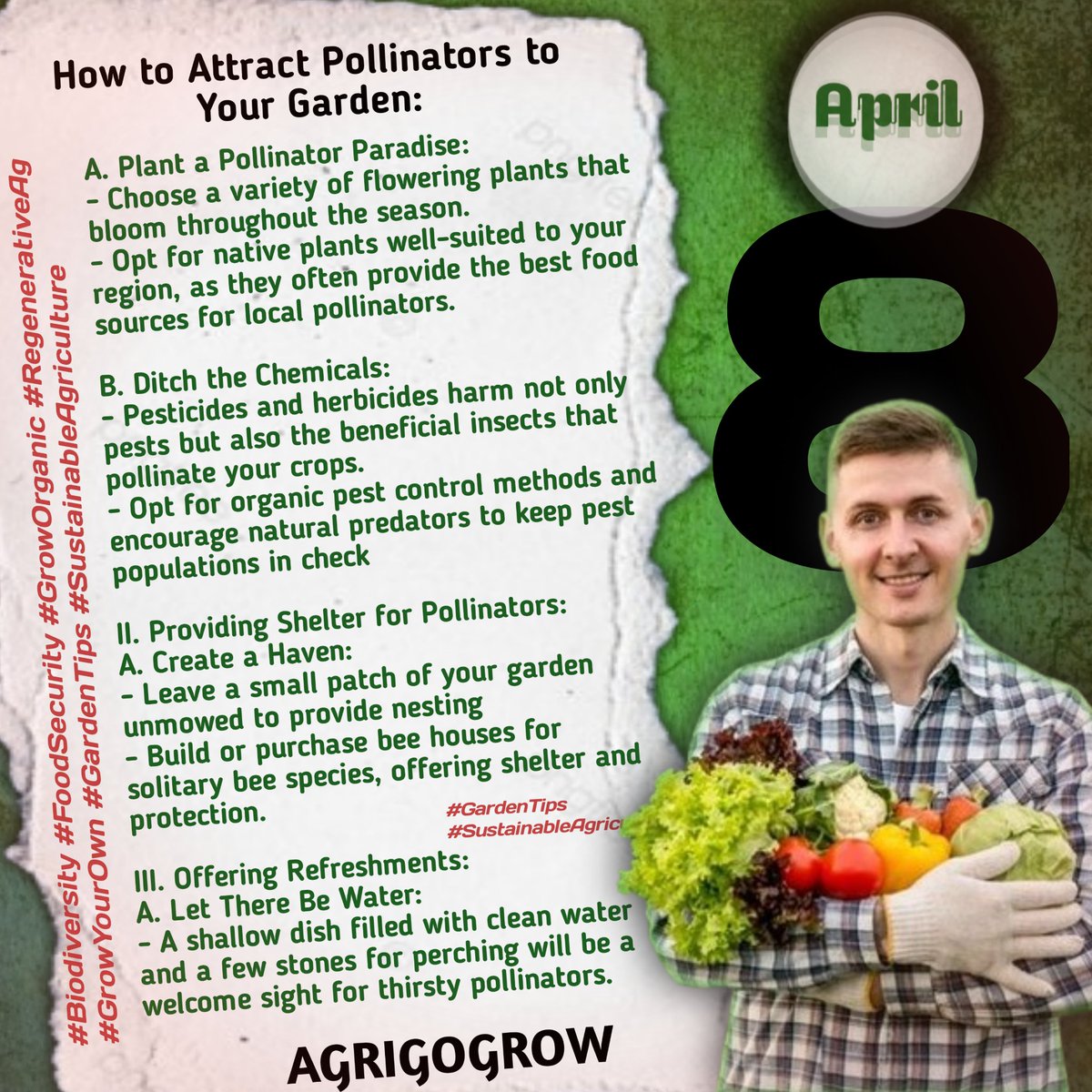 How to Attract Pollinators to Your Garden
Building a garden that attracts & supports pollinators is not only beneficial for your plants but also for the entire ecosystem. Here are some tips to create a haven for these essential creatures
#SustainableAgriculture #Day8
#GardenTips