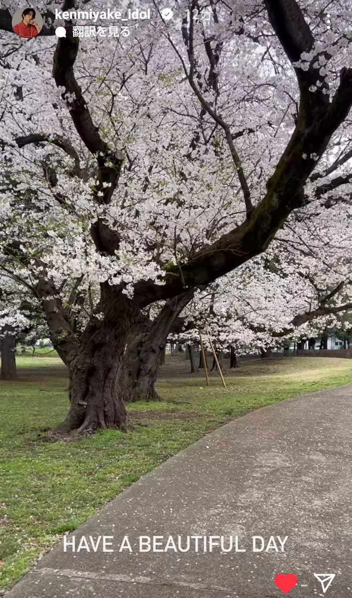 健くんストーリーありがとう！
🌸🌸🌸
オフィスの中のお昼時間、美しい桜の風景に癒されました😌💕
🌸🌸🌸

この場所はどこですか❓️🧸🧡

#三宅健
#瞬間電報健