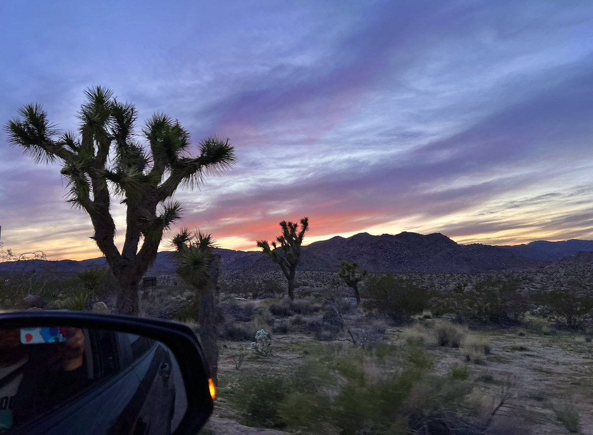 A stunning sunset from Joshua Tree National Park near the Arch Rock. A great way to end another day in the high desert! (4-7-2024) #CAwx #sunset #JoshuaTree #JoshuaTreeNationalPark #highDesert #CaliforniaSunset #middleOfNowhere