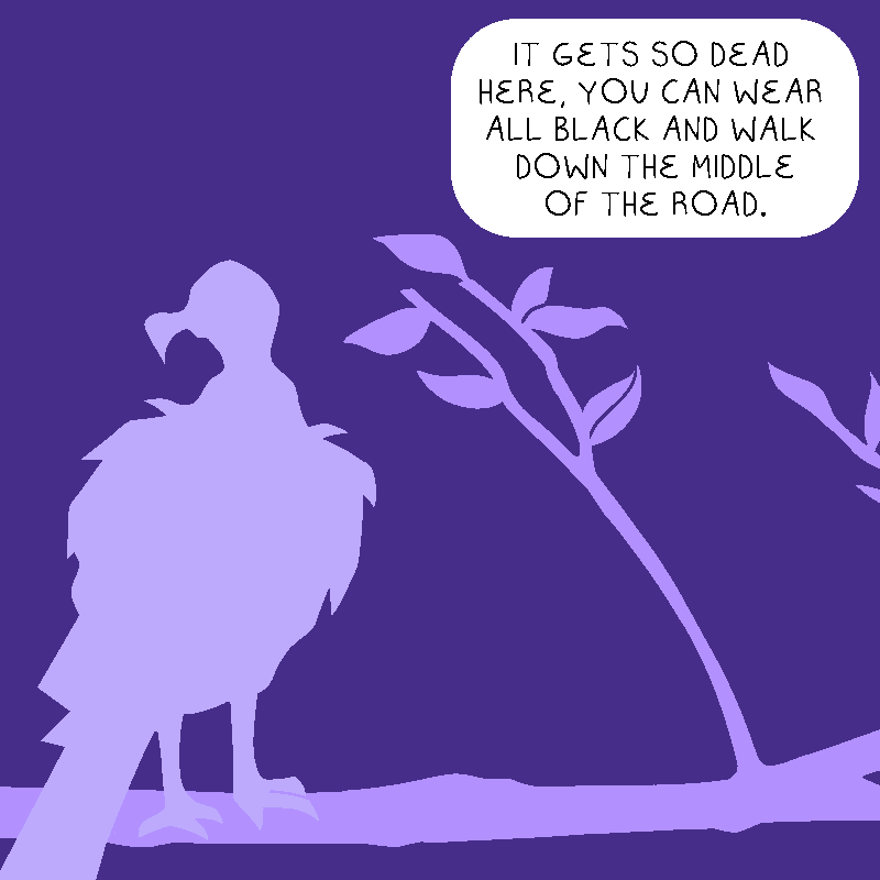 max graves tweet media