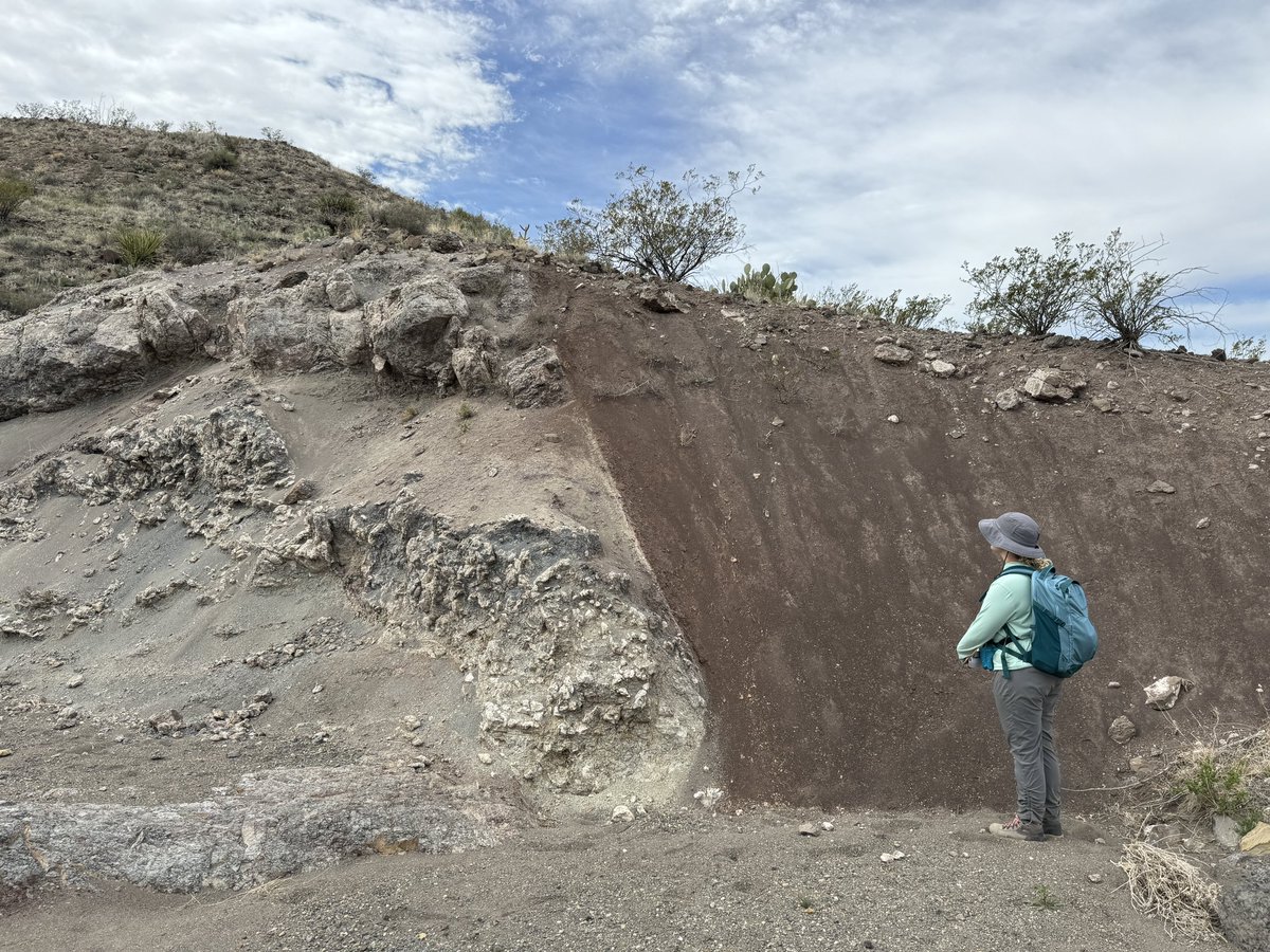 Dr. Jeff Amato tweet media